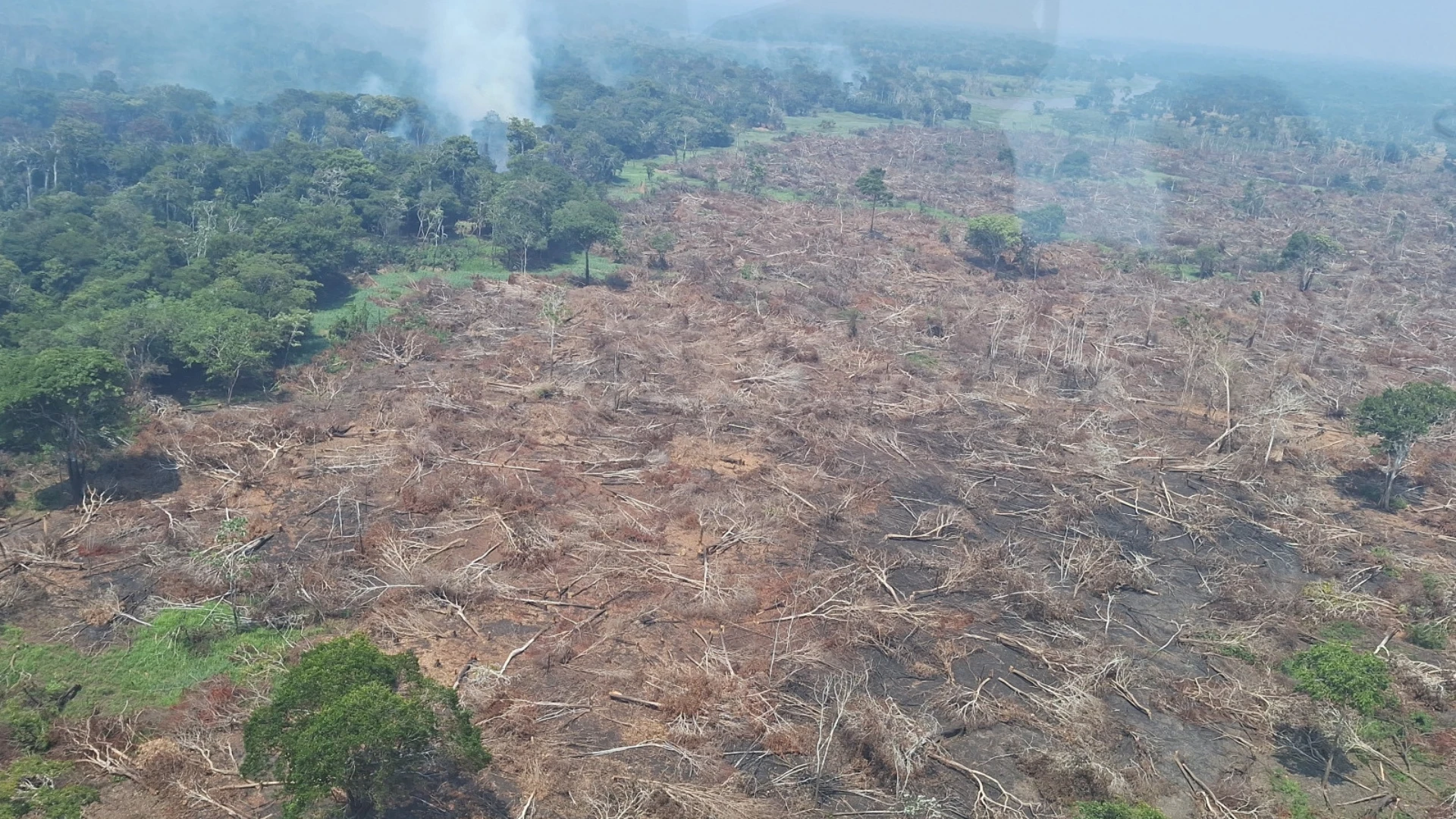 Incêndios no Amazonas: Governo federal libera R$ 3,5 milhões para cidades
