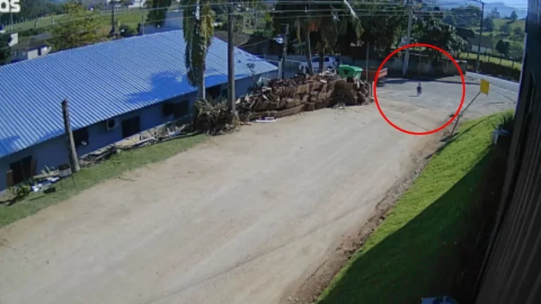Coordenadora é exonerada de creche onde bebê de 1 ano escapou em SC