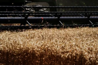 Trump anuncia mais US$ 8 bi para agricultores em meio à pressão eleitoral