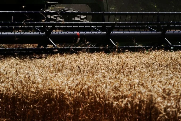 Trump anuncia mais US$ 8 bi para agricultores em meio à pressão eleitoral